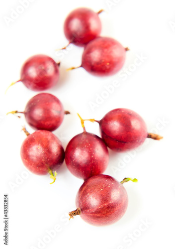 red gooseberry on a white background