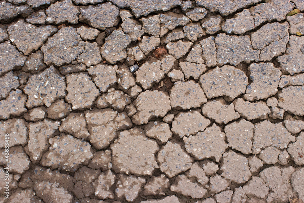 Macro closeup on concrete asphalt cracks on the road Macro closeup on concrete asphalt cracks on the road