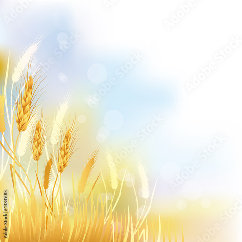 crop background