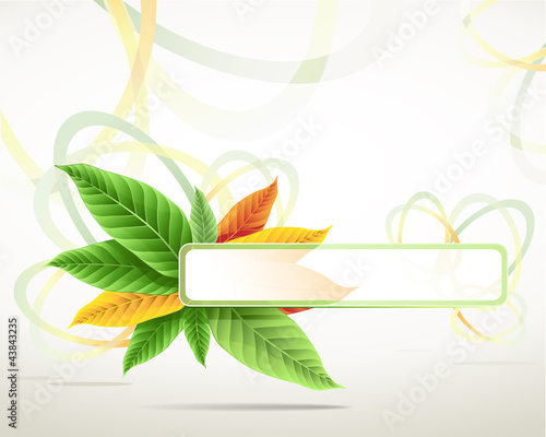 nature background