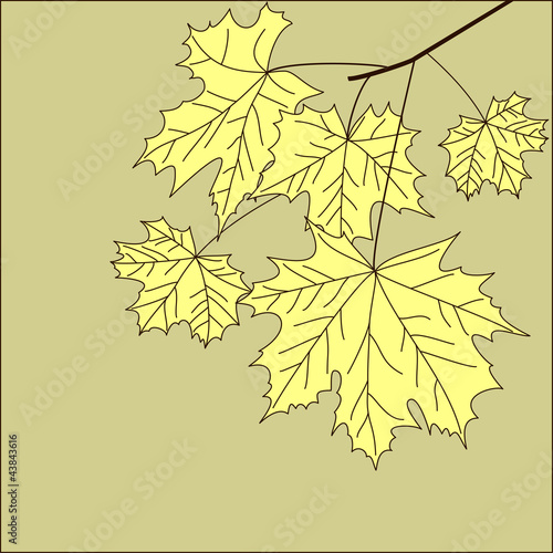 marble leaves