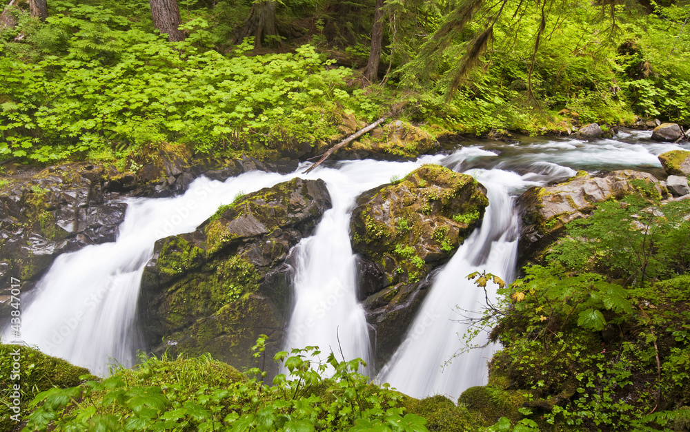 The sol duc waterfall at Olympic National Park