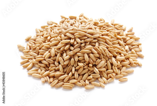 oat grains