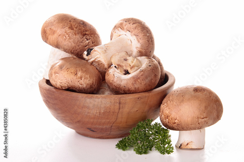 isolated mushrooms and parsley