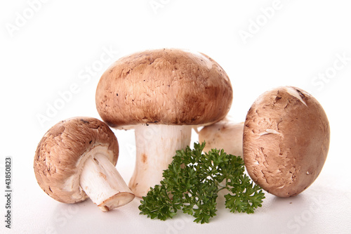 isolated mushrooms and parsley