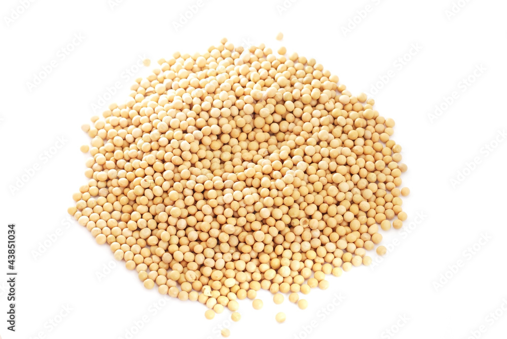 the so ya beans the so ya beans
