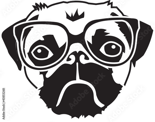 pug with glasses