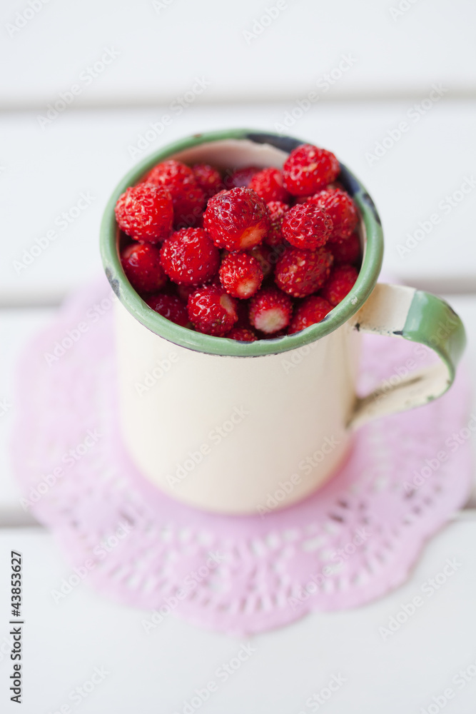 Wild strawberries Wild strawberries