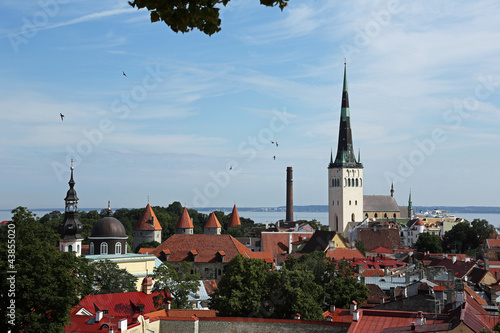 Blick auf Tallinn photo