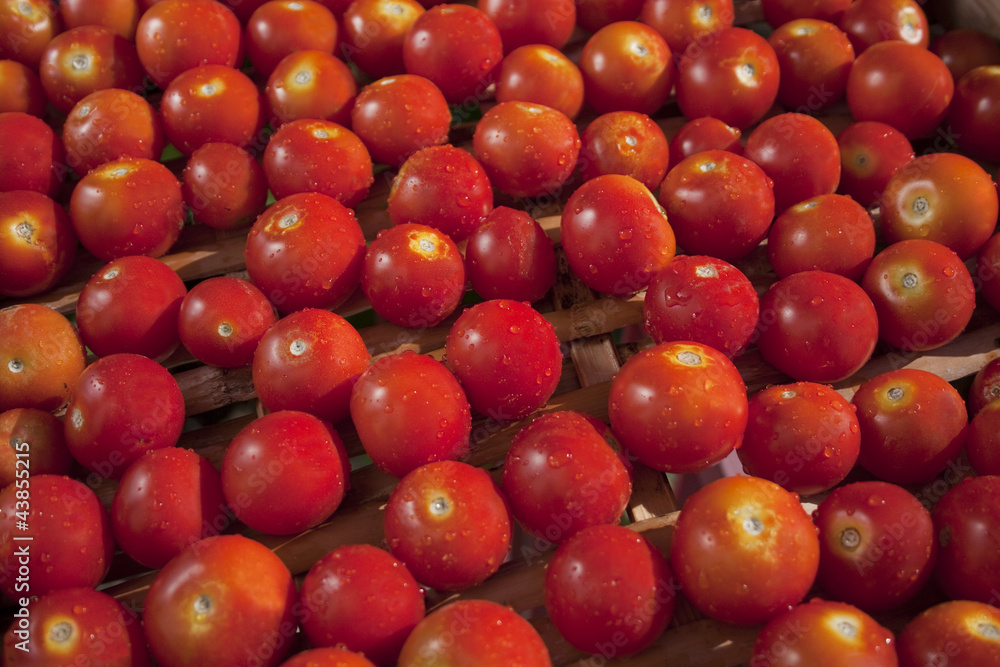 Cherry Tomatoes Cherry Tomatoes
