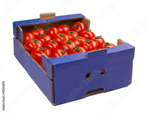tomato in a box