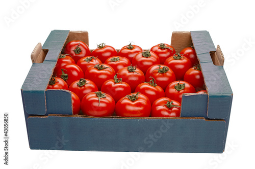 tomato in a box