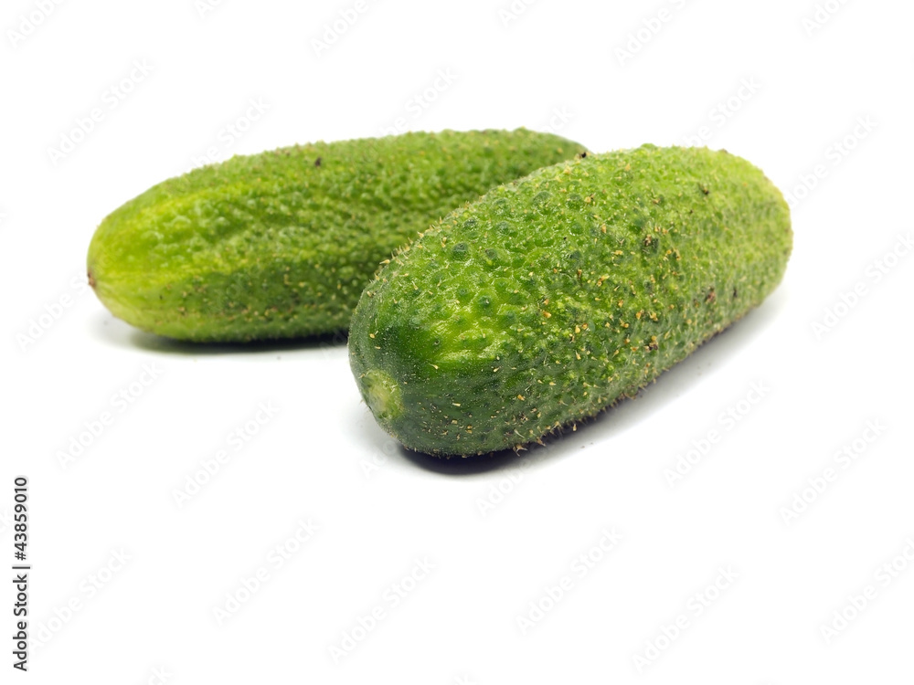 fresh organic cucumber fresh organic cucumber