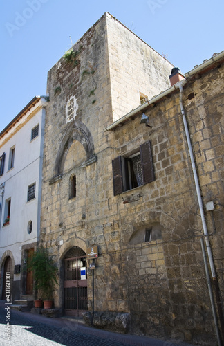 Fototapeta Naklejka Na Ścianę i Meble -  Tower of the Magistrate. Tarquinia. Lazio. Italy.