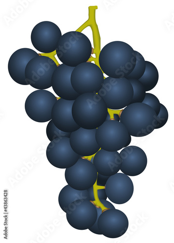 Bunch of ripe grapes