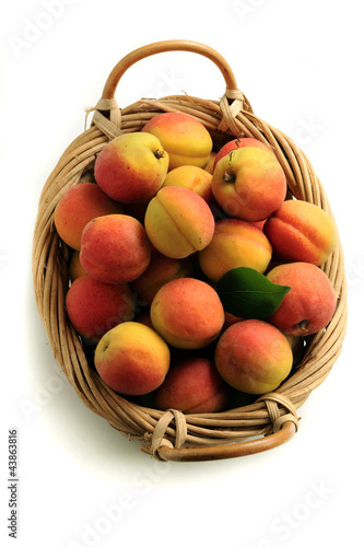 Basket of ripe appricots