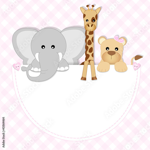 baby animals - leonessa, elefante, giraffa