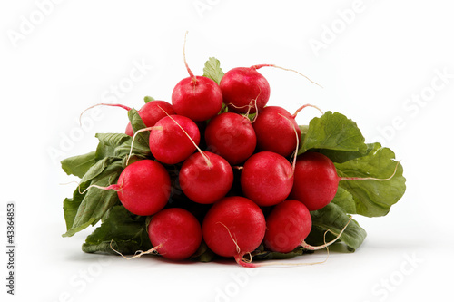 Healthy food. Bunch of fresh radishes on a white background.