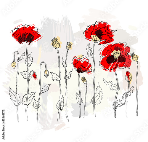 Fototapeta Naklejka Na Ścianę i Meble -  Red poppies on a white background