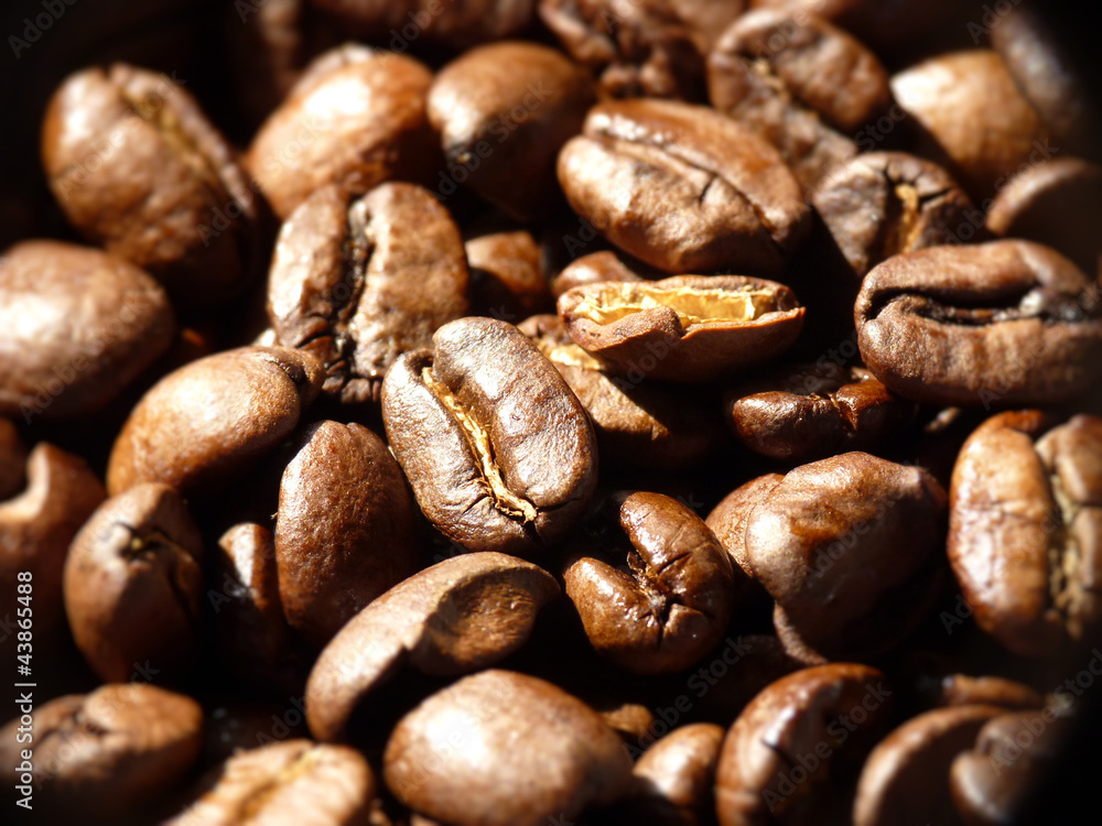 Kaffeebohnen Kaffeebohnen