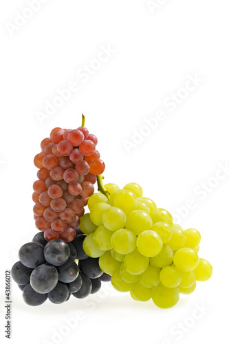 Wallpaper Mural 葡萄 Torontodigital.ca