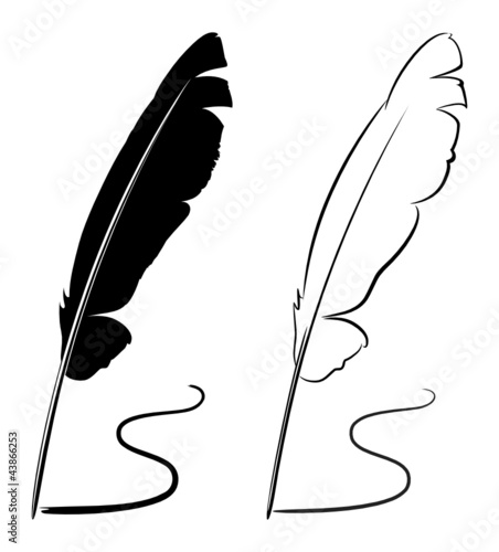 feathers