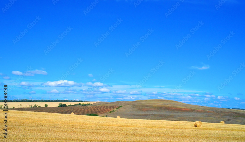 Obraz premium Beautiful rural landscape