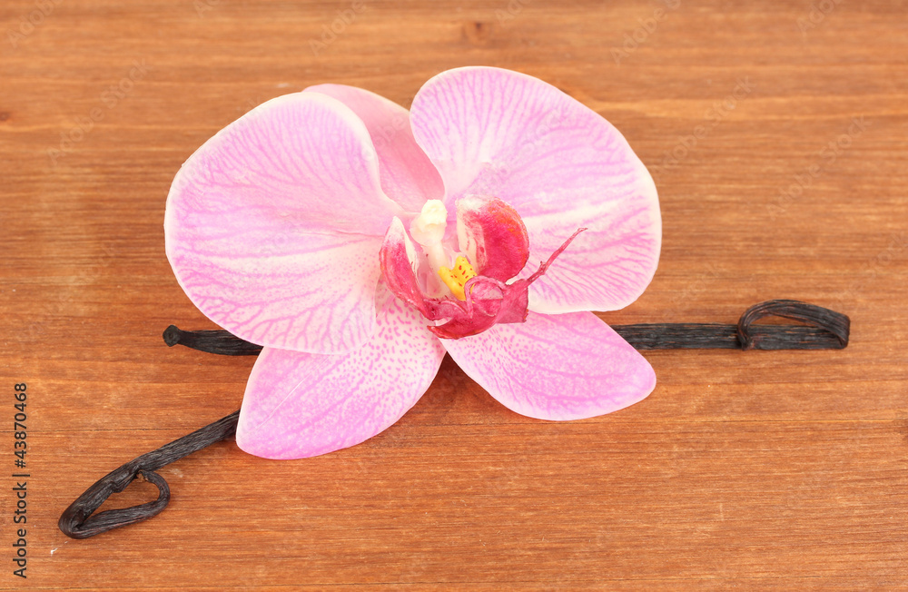 Vanilla pods with flower on wooden background Vanilla pods with flower on wooden background