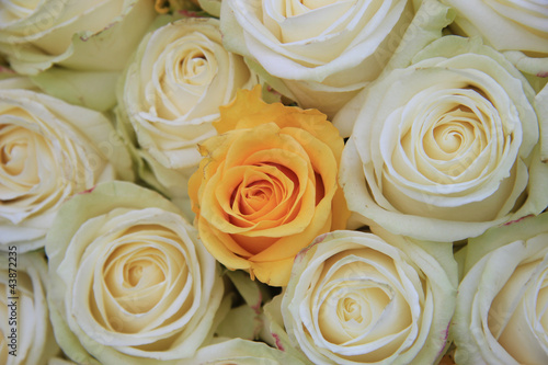 White and yellow roses in brdal flower arrangement