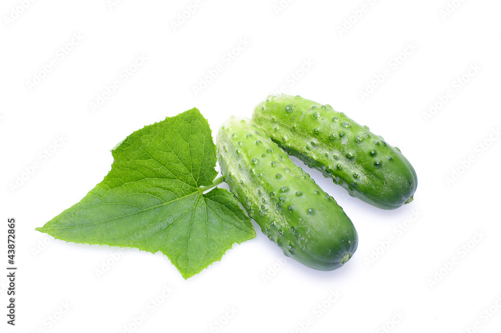 cucumbers cucumbers