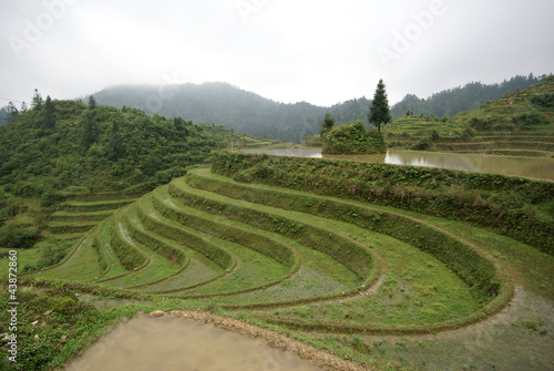 Dragon's Backbone Rice Terraces, southern China