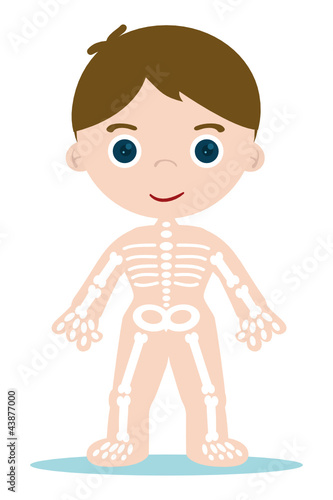 kid bones chart for school learning