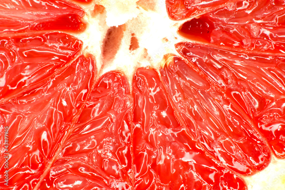 Red grapefruit close-up macro shot Red grapefruit close-up macro shot