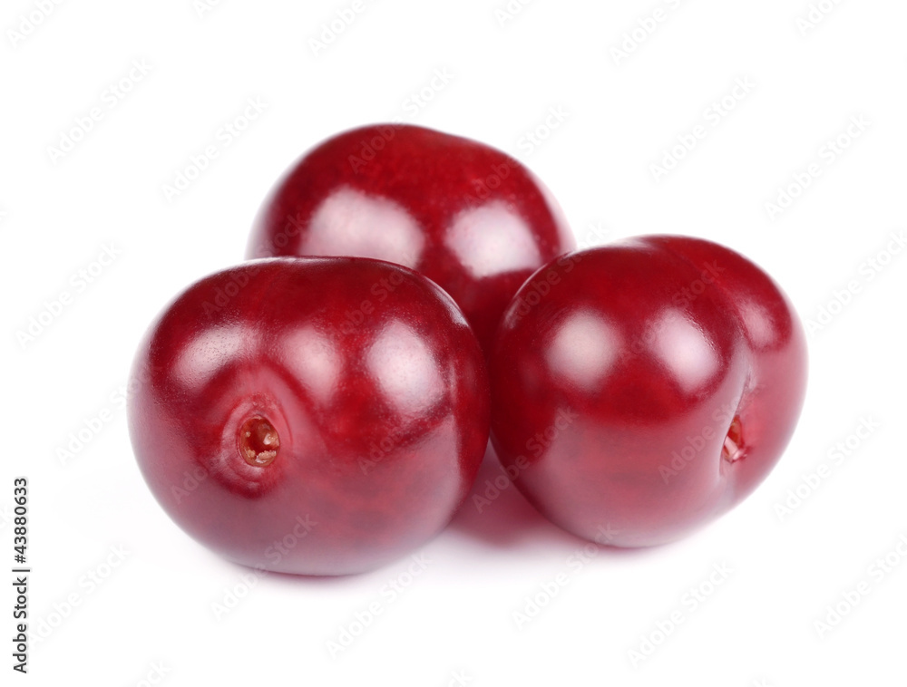 Group of Sweet Fresh Cherries Isolated on White