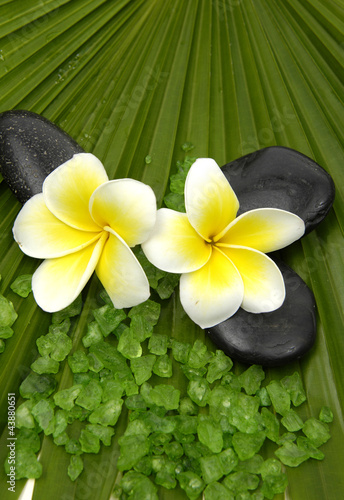 frangipanis and zen stones with green bath salts on leaf