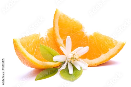 Frische Orangenspalten