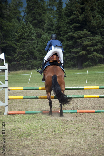 Equestrian jumping hurdles