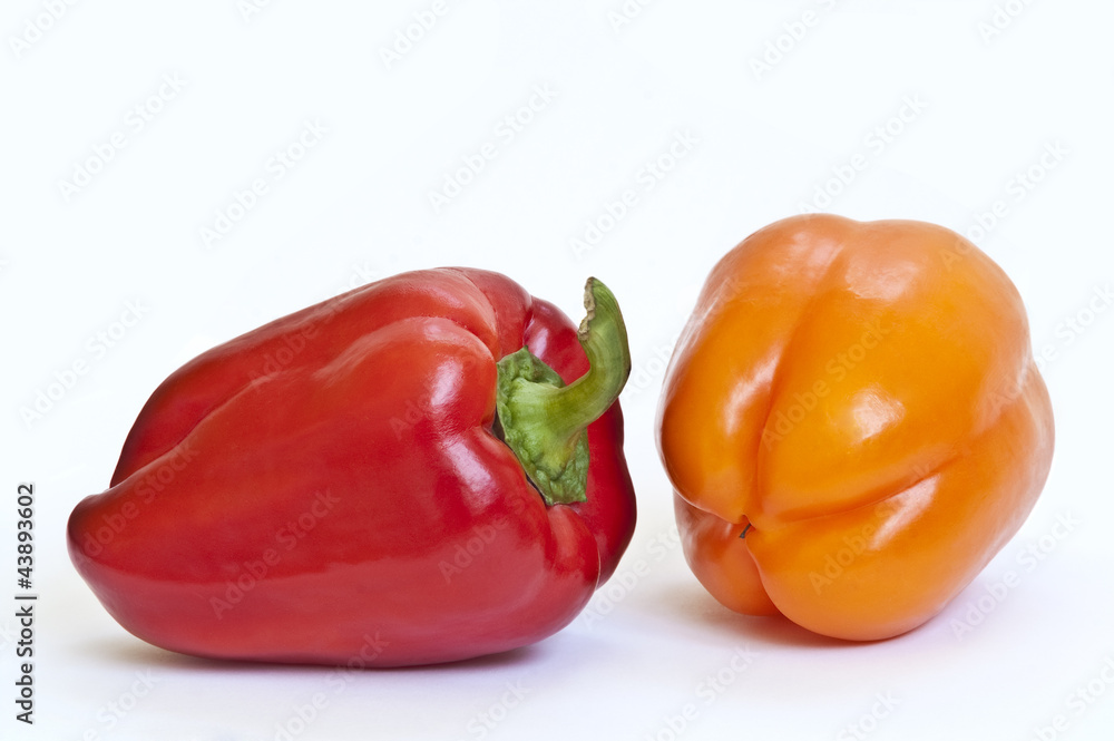 Red and yellow paprika on white background Red and yellow paprika on white background