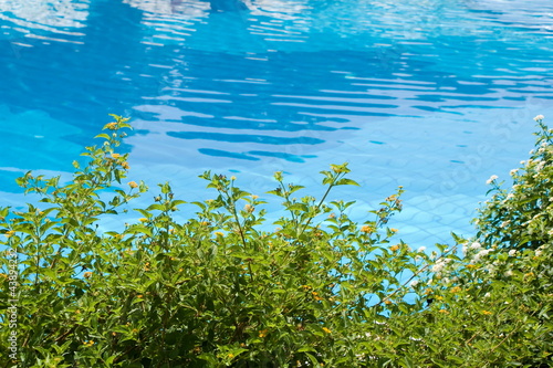 Detail of a swimming pool