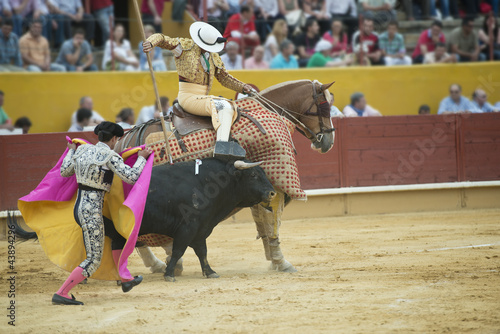 Picador ejecutando la suerte de varas con su caballo.