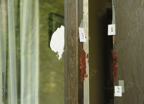 Фотография Housebreaking evidence