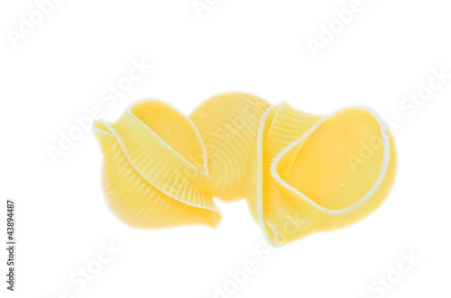 pasta shells