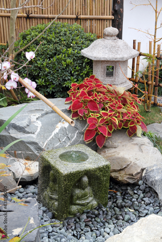 Japanese garden