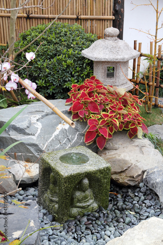 Obraz na płótnie Japanese garden w salonie