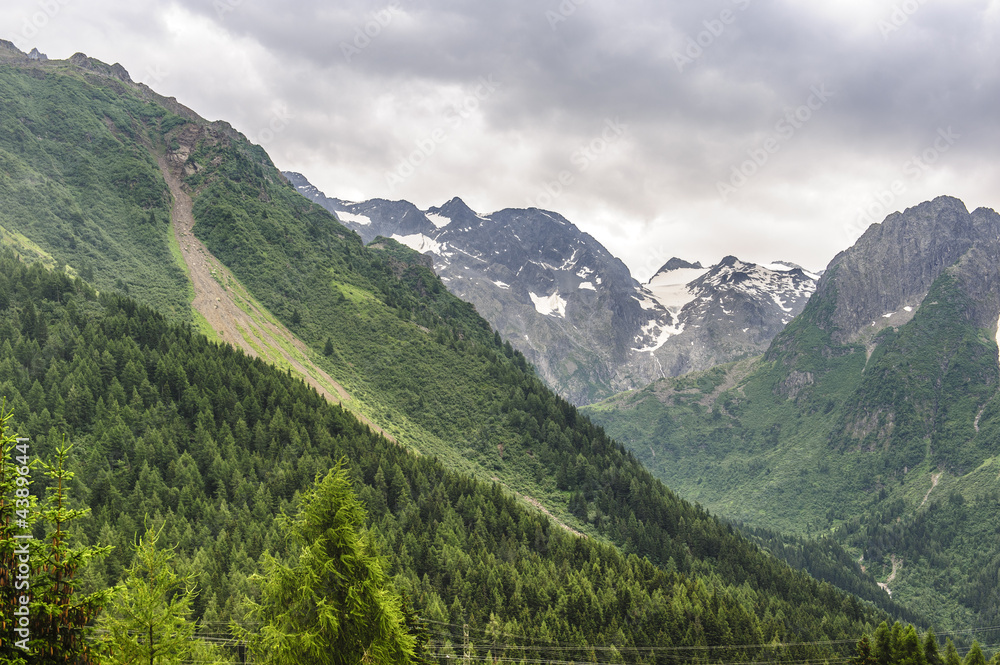Fototapeta premium Passo del Tonale