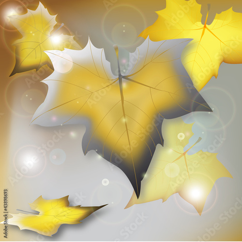 autunno in oro ed argento