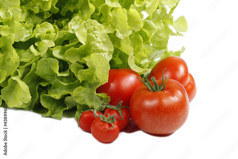 Salat Salat