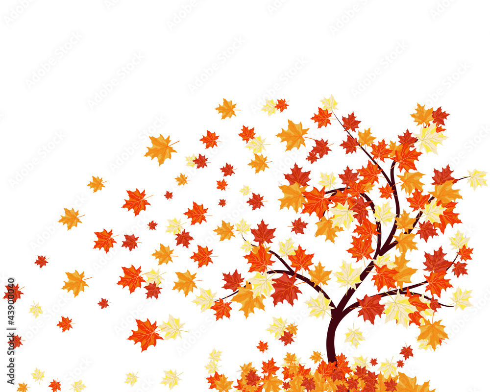 Autumn background Autumn background