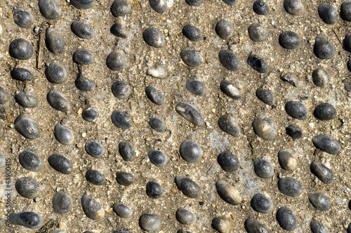 Cobblestones from a footpath