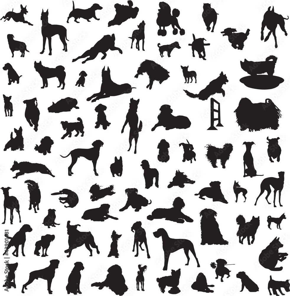 large collection of different silhouettes of dogs